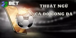 Thuật Ngữ Cá Độ Bóng Đá